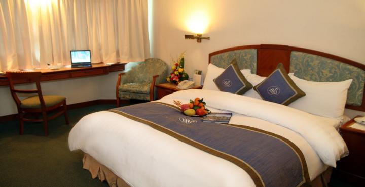 Hotel Green View Palace